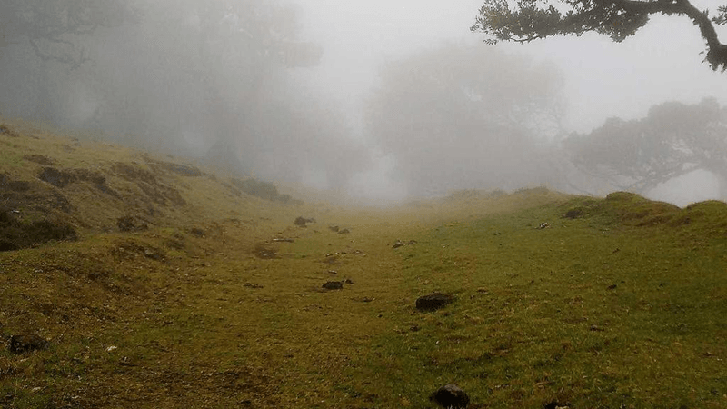 Baking - professional stock photography